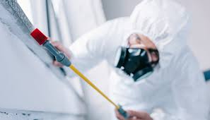 Best Pest Control for Hotels  in Brigantine, NJ